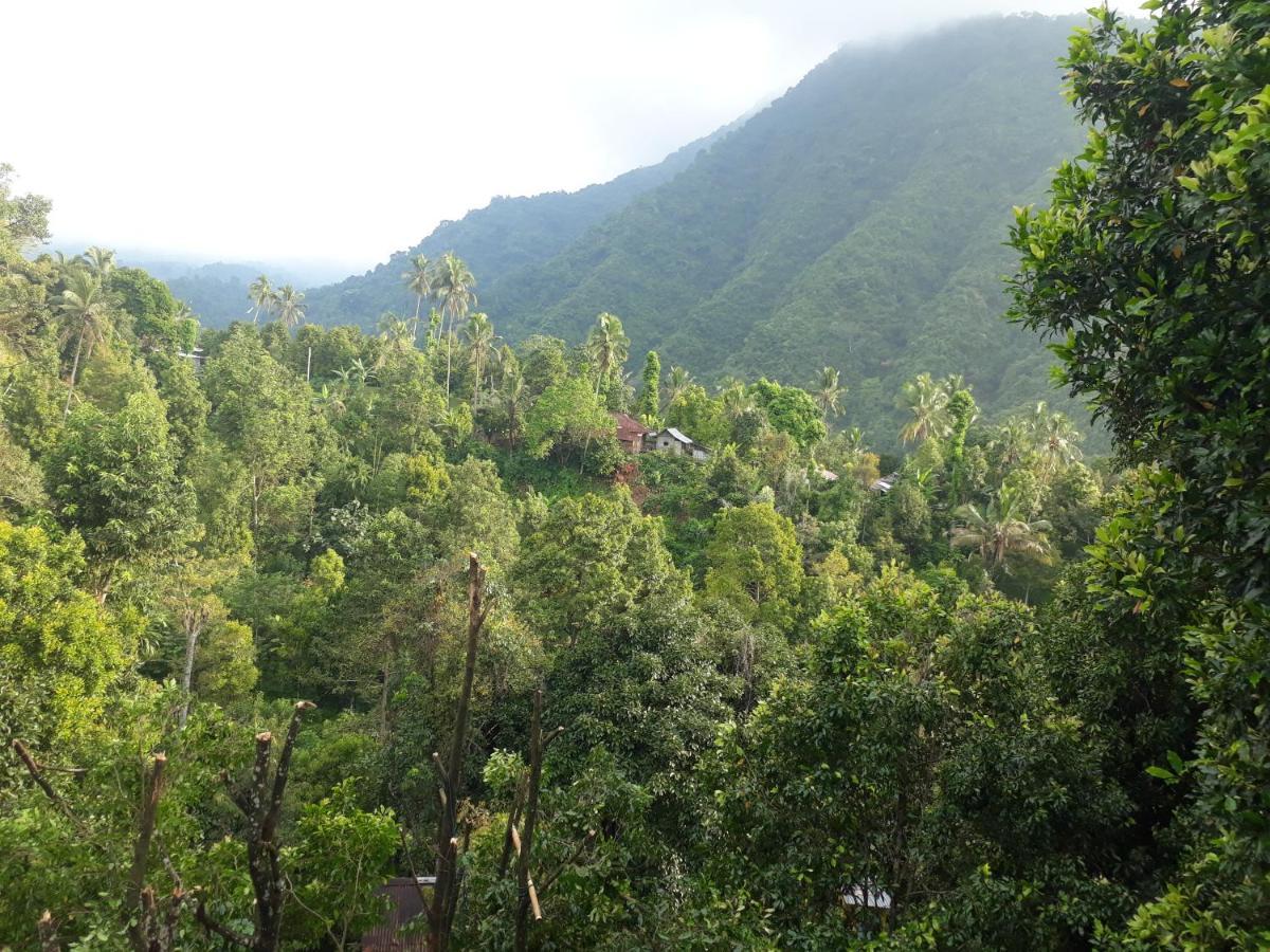 Sugi Gede Homestay Singaraja  Luaran gambar