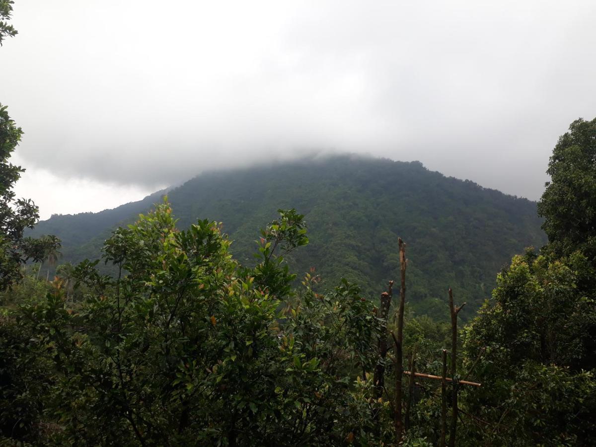 Sugi Gede Homestay Singaraja  Luaran gambar