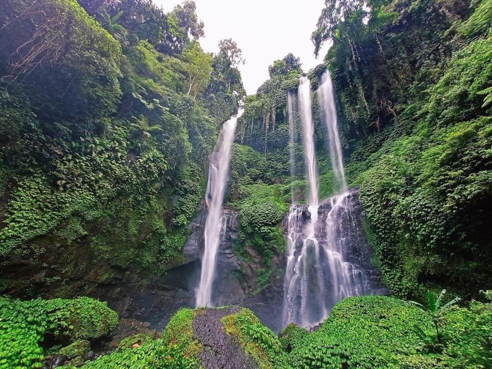 Sugi Gede Homestay Singaraja  Luaran gambar