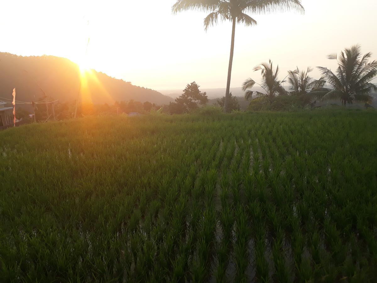 Sugi Gede Homestay Singaraja  Luaran gambar