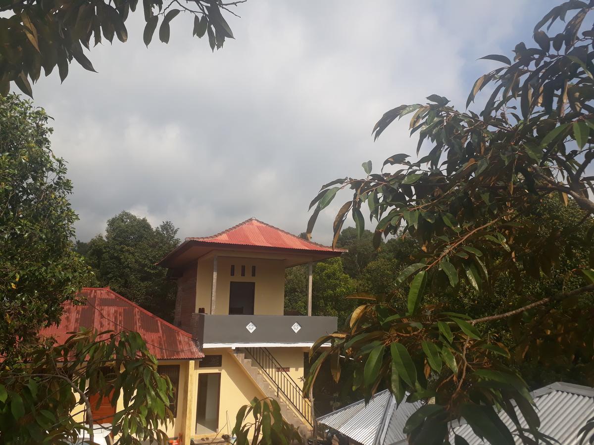 Sugi Gede Homestay Singaraja  Luaran gambar