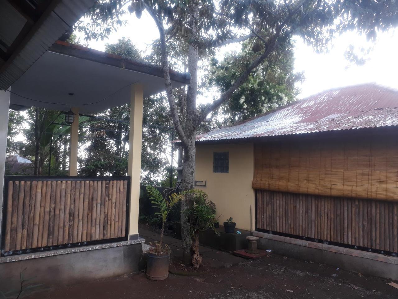 Sugi Gede Homestay Singaraja  Luaran gambar