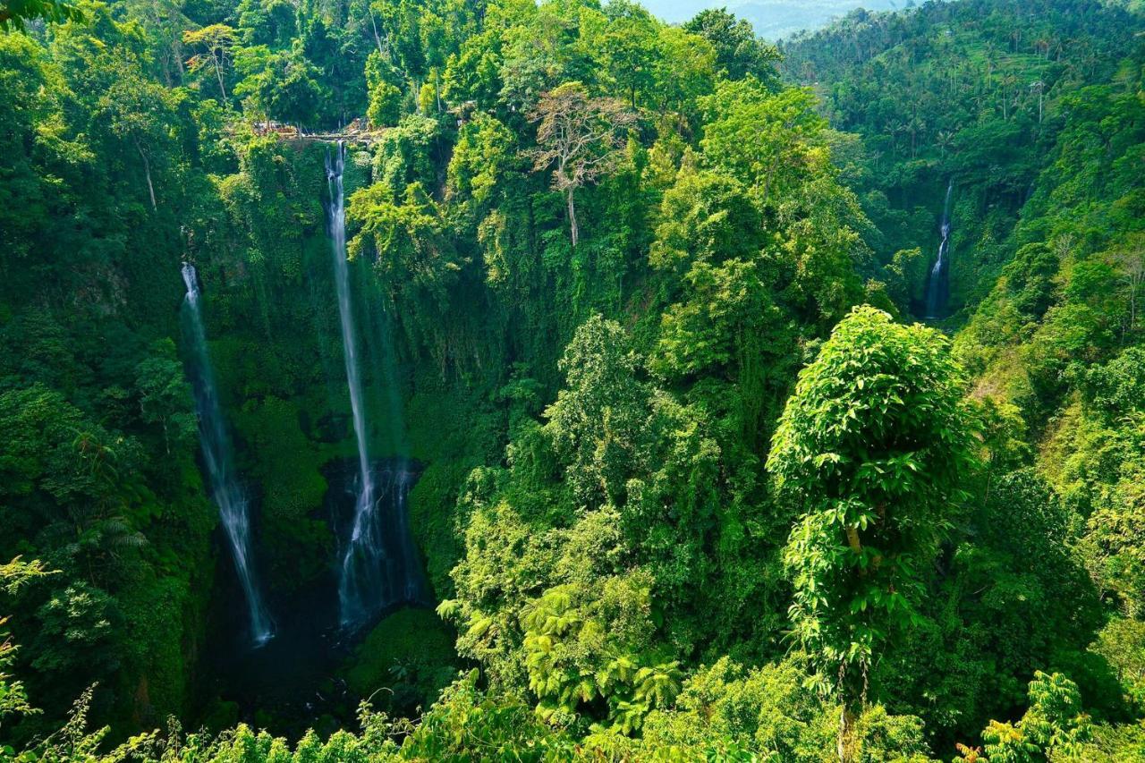 Sugi Gede Homestay Singaraja  Luaran gambar